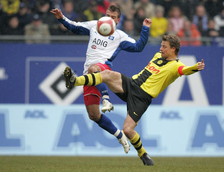 不仅吸引了 不仅吸引了